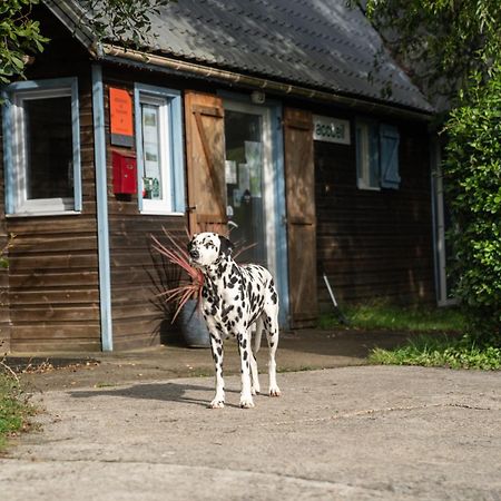 Gite 9 Personnes Fecamp Etretat Villa Colleville Exterior photo