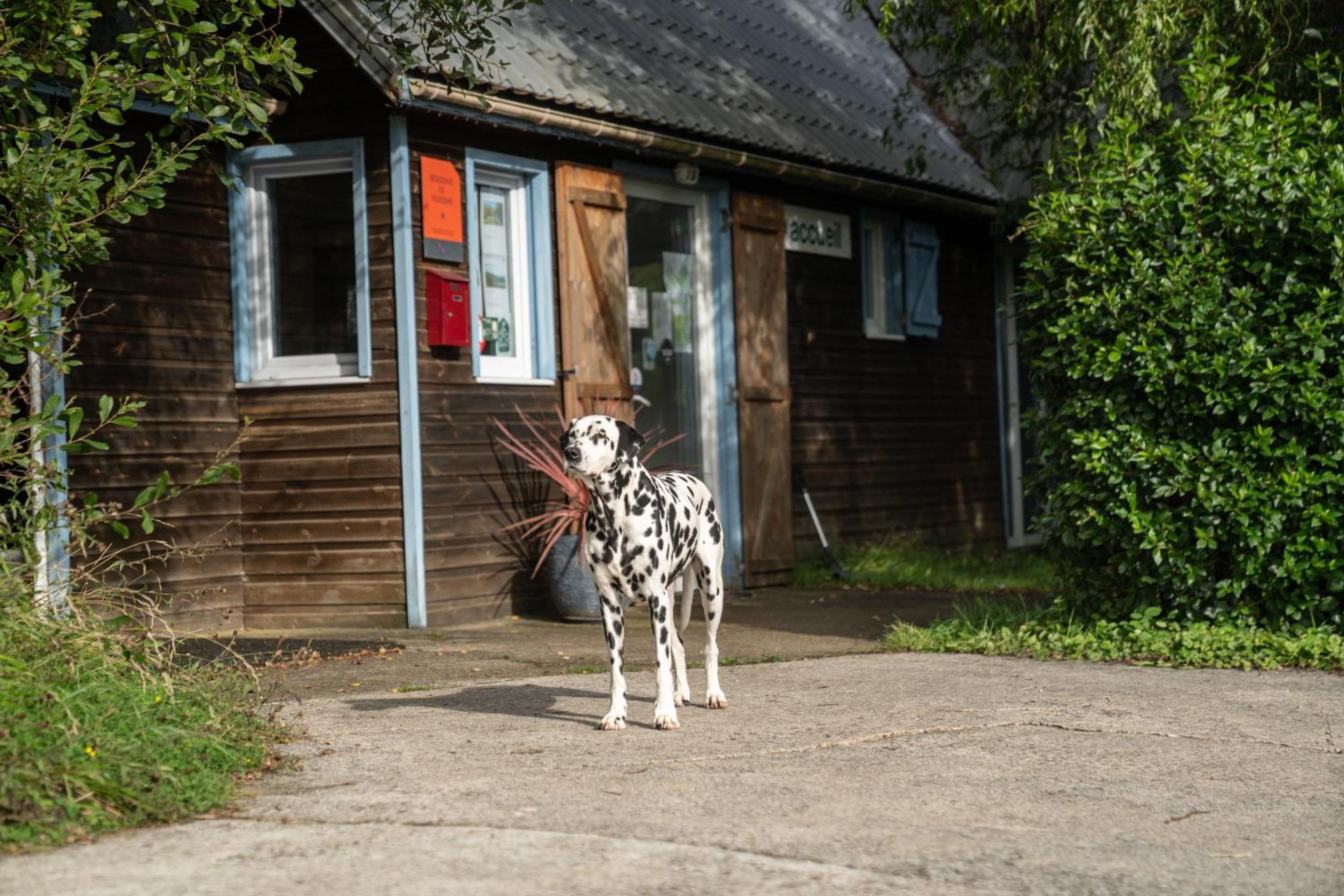 Gite 9 Personnes Fecamp Etretat Villa Colleville Exterior photo